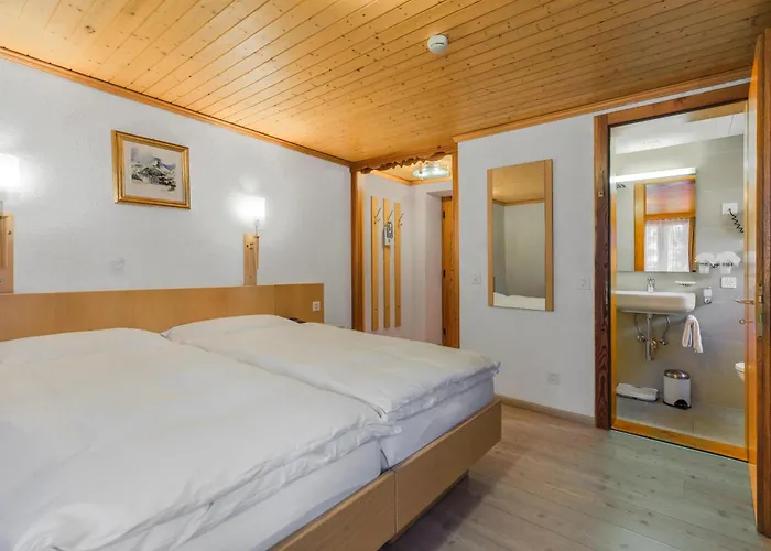 Alpenblick Superior 3*