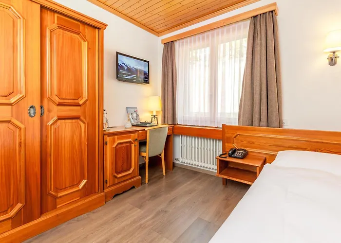 Alpenblick 采尔马特