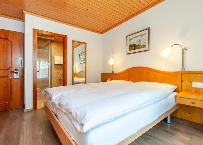 Alpenblick 采尔马特