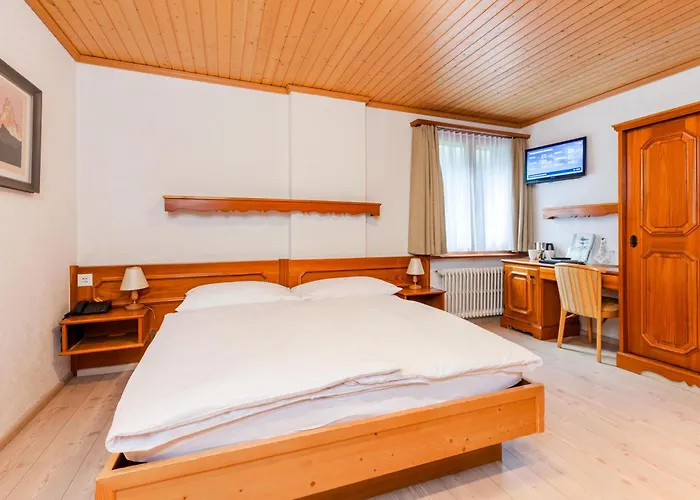 Alpenblick Otel