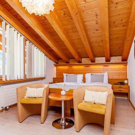Alpenblick Hotell 3*